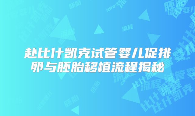 赴比什凯克试管婴儿促排卵与胚胎移植流程揭秘