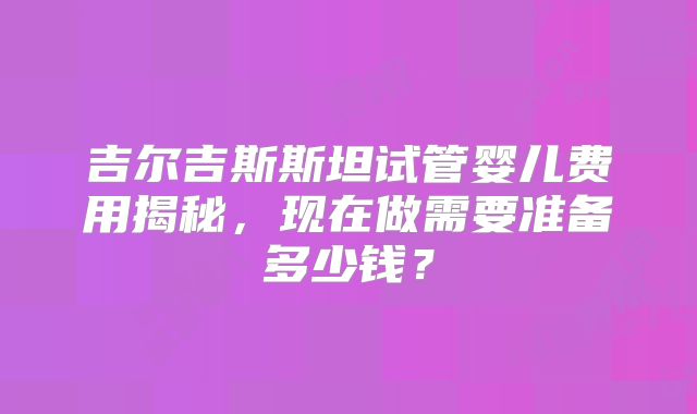 吉尔吉斯斯坦试管婴儿费用揭秘,现在做需要准备多少钱?