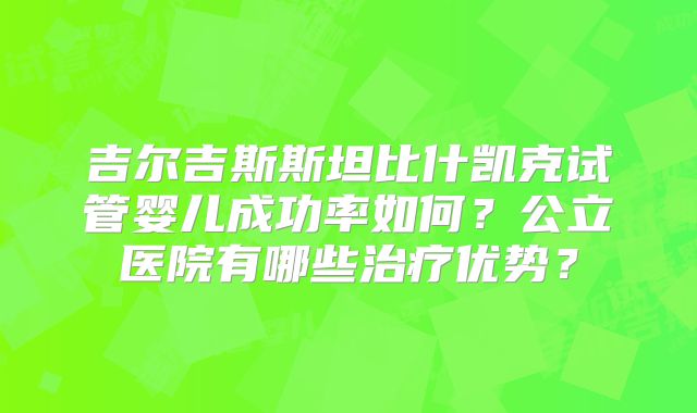 吉尔吉斯斯坦比什凯克试管婴儿成功率如何?公立医院有哪些治疗优势?