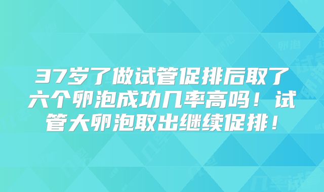 37岁了做试管促排后取了六个卵泡成功几率高吗!试管大卵泡取出继续促排!