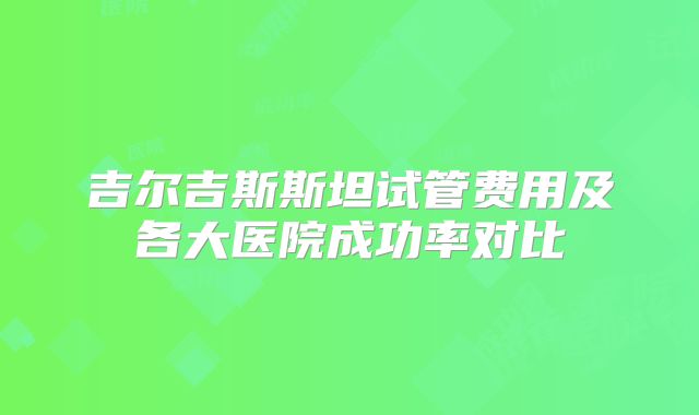 吉尔吉斯斯坦试管费用及各大医院成功率对比