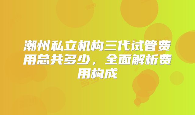 潮州私立机构三代试管费用总共多少,全面解析费用构成
