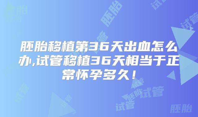 胚胎移植第36天出血怎么办,试管移植36天相当于正常怀孕多久！