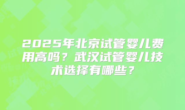 2025年北京试管婴儿费用高吗?武汉试管婴儿技术选择有哪些?