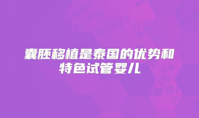 囊胚移植是泰国的优势和特色试管婴儿