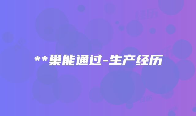 **巢能通过-生产经历