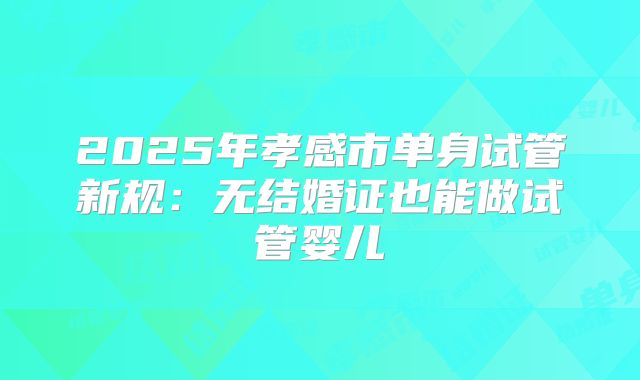 2025年孝感市单身试管新规:无结婚证也能做试管婴儿