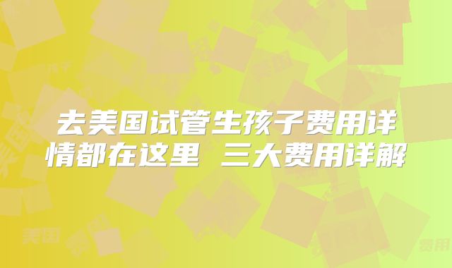 去美国试管生孩子费用详情都在这里 三大费用详解