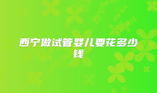 西宁做试管婴儿要花多少钱