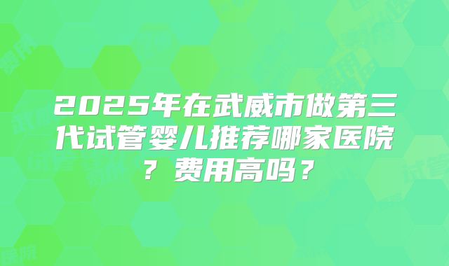 2025年在武威市做第三代试管婴儿推荐哪家医院?费用高吗?