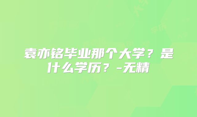 袁亦铭毕业那个大学？是什么学历？-无精