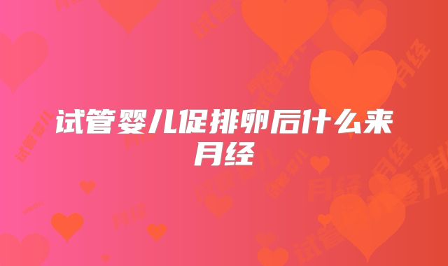 试管婴儿促排卵后什么来月经