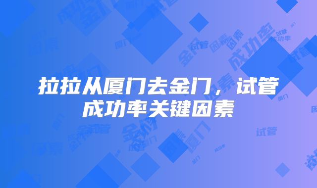 拉拉从厦门去金门，试管成功率关键因素