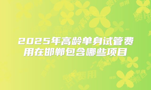 2025年高龄单身试管费用在邯郸包含哪些项目