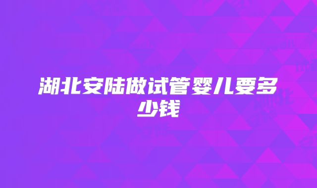 湖北安陆做试管婴儿要多少钱