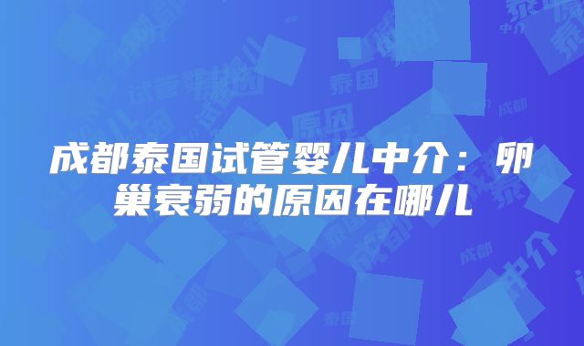 成都泰国试管婴儿中介:卵巢衰弱的原因在哪儿