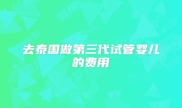 去泰国做第三代试管婴儿的费用