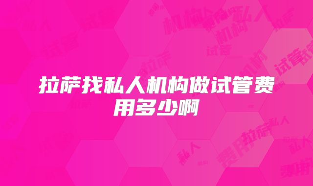 拉萨找私人机构做试管费用多少啊