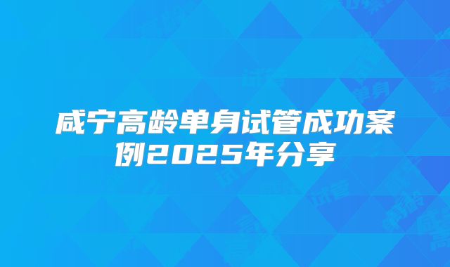 咸宁高龄单身试管成功案例2025年分享