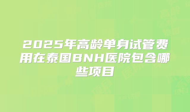 2025年高龄单身试管费用在泰国BNH医院包含哪些项目