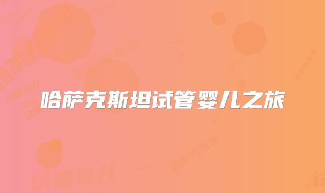 哈萨克斯坦试管婴儿之旅