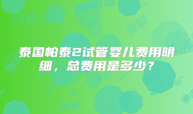泰国帕泰2试管婴儿费用明细，总费用是多少？