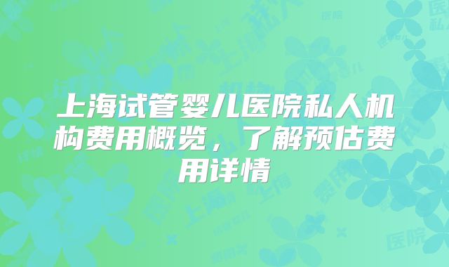 上海试管婴儿医院私人机构费用概览,了解预估费用详情