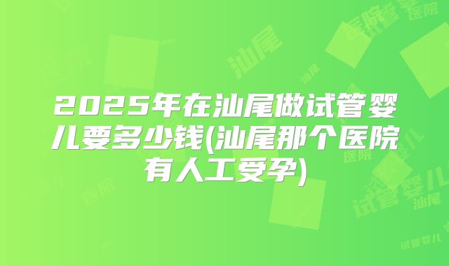2025年在汕尾做试管婴儿要多少钱(汕尾那个医院有人工受孕)