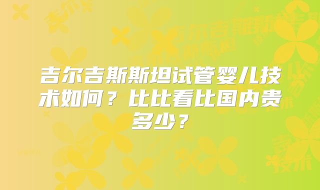 吉尔吉斯斯坦试管婴儿技术如何？比比看比国内贵多少？