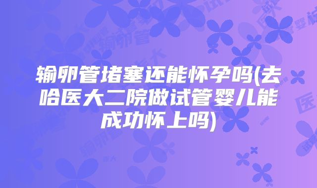 输卵管堵塞还能怀孕吗(去哈医大二院做试管婴儿能成功怀上吗)