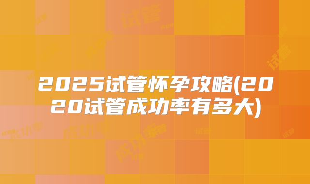2025试管怀孕攻略(2020试管成功率有多大)