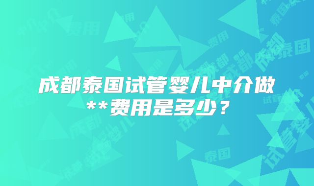 成都泰国试管婴儿中介做**费用是多少？