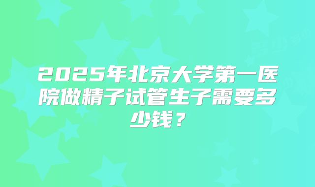 2025年北京大学第一医院做精子试管生子需要多少钱？