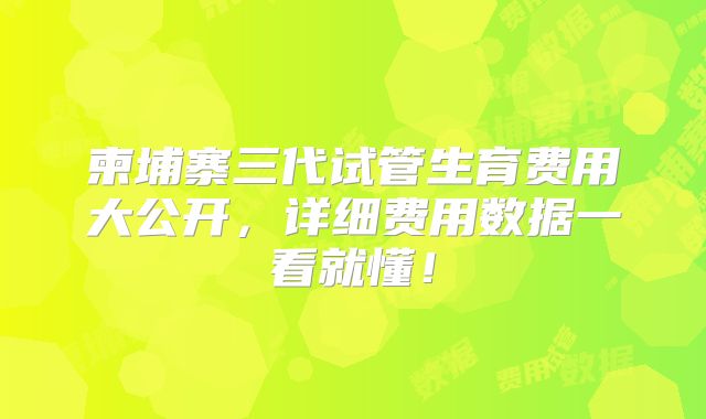 柬埔寨三代试管生育费用大公开,详细费用数据一看就懂!
