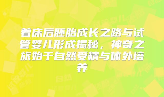 着床后胚胎成长之路与试管婴儿形成揭秘，神奇之旅始于自然受精与体外培养