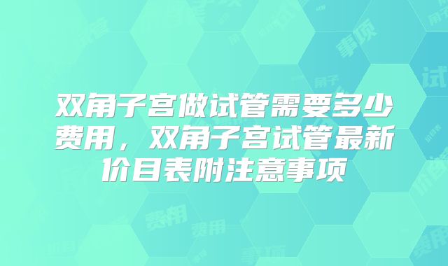 双角子宫做试管需要多少费用，双角子宫试管最新价目表附注意事项
