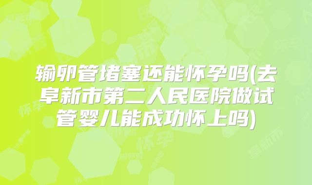 输卵管堵塞还能怀孕吗(去阜新市第二人民医院做试管婴儿能成功怀上吗)