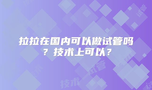 拉拉在国内可以做试管吗？技术上可以？